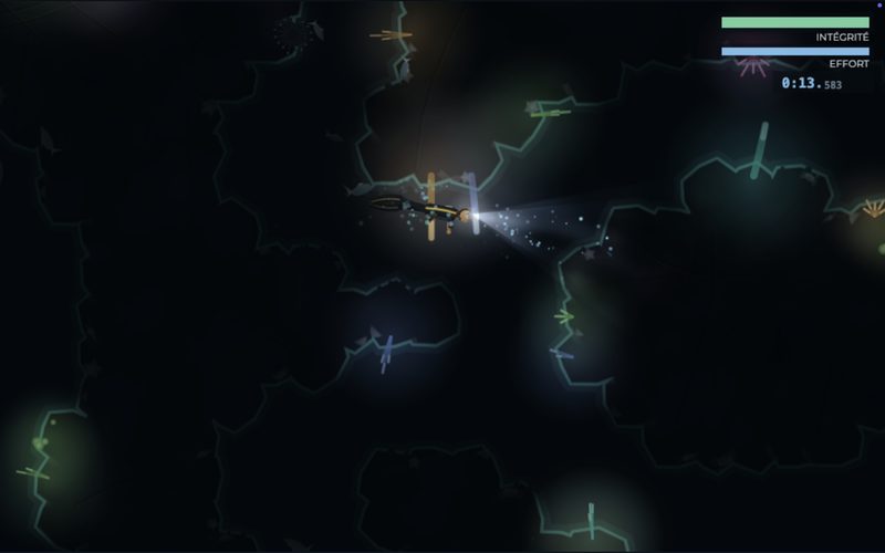 Dans le noir complet, la lampe ouvre un cône de lumière ; la flore dessine des contours phosphorescents.